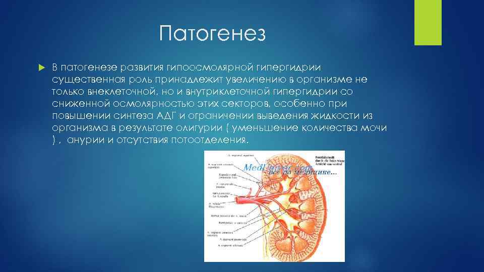 Патогенез В патогенезе развития гипоосмолярной гипергидрии существенная роль принадлежит увеличению в организме не только