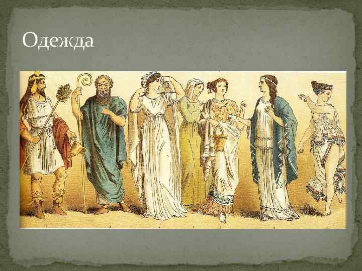 Одежда 