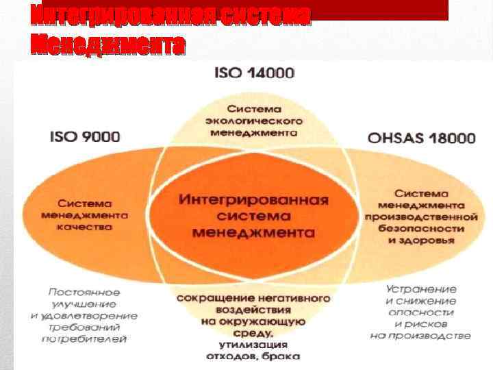 Интегрированная система Менеджмента 