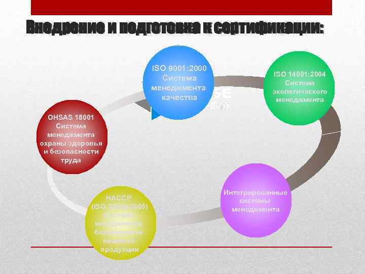  Внедрение и подготовка к сертификации: ISO 9001: 2000 Система менеджмента качества ISO 14001: