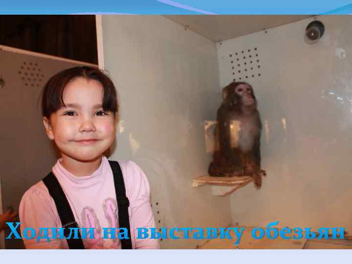 Ходили на выставку обезьян 