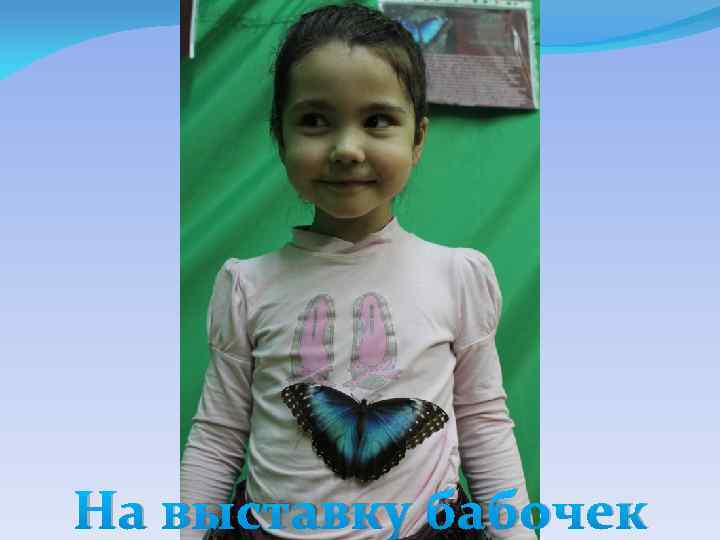На выставку бабочек 