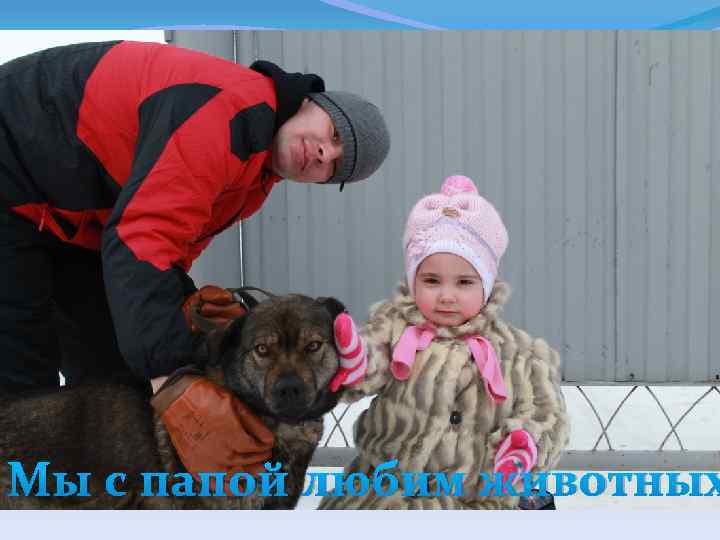 Мы с папой любим животных 