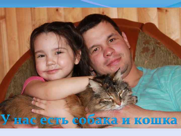 У нас есть собака и кошка 