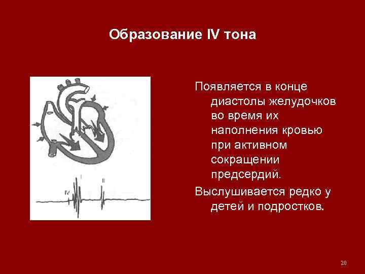 Образование IV тона Появляется в конце диастолы желудочков во время их наполнения кровью при