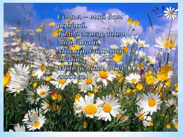 Семья – мой дом родной. Там я живу, там мой покой, Мое пристанище и