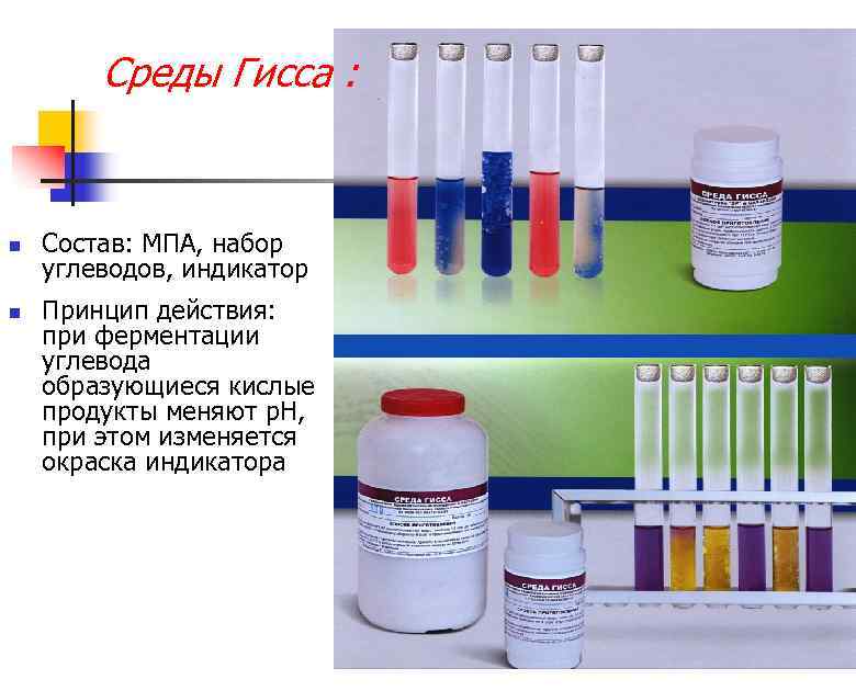 Среды Гисса : n n Состав: МПА, набор углеводов, индикатор Принцип действия: при ферментации
