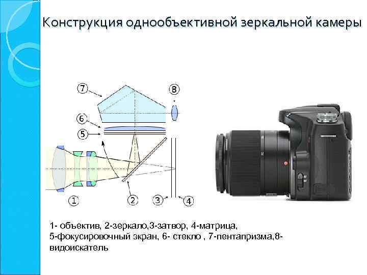 Конструкция однообъективной зеркальной камеры 1 - объектив, 2 -зеркало, 3 -затвор, 4 -матрица, 5