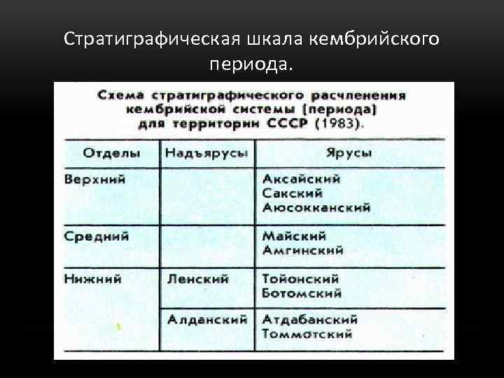 Стратиграфическая шкала кембрийского периода. 