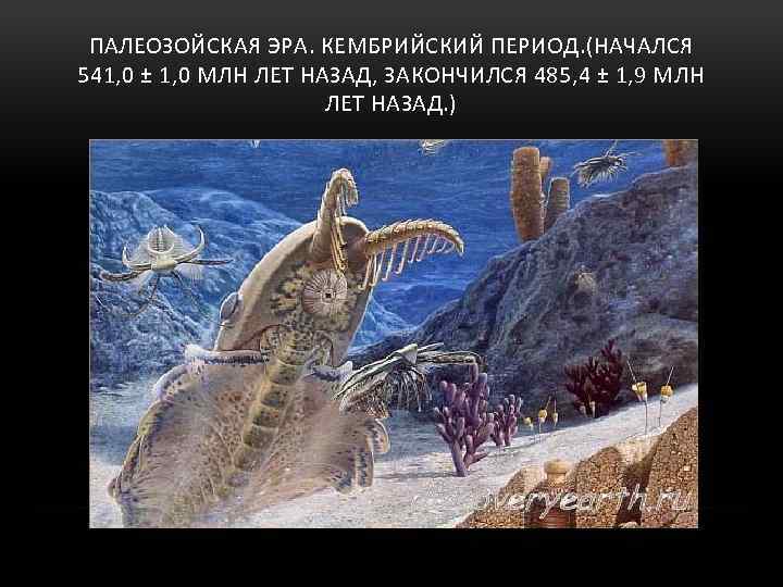 ПАЛЕОЗОЙСКАЯ ЭРА. КЕМБРИЙСКИЙ ПЕРИОД. (НАЧАЛСЯ 541, 0 ± 1, 0 МЛН ЛЕТ НАЗАД, ЗАКОНЧИЛСЯ