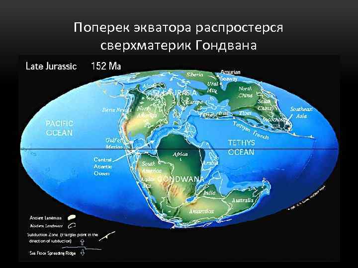 Поперек экватора распростерся сверхматерик Гондвана 