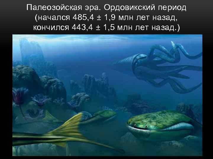Палеозойская эра. Ордовикский период (начался 485, 4 ± 1, 9 млн лет назад, кончился