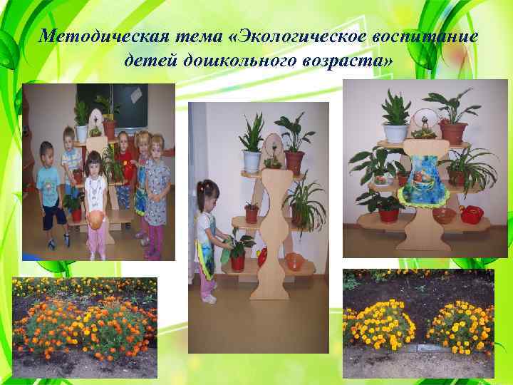 Методическая тема «Экологическое воспитание детей дошкольного возраста» 