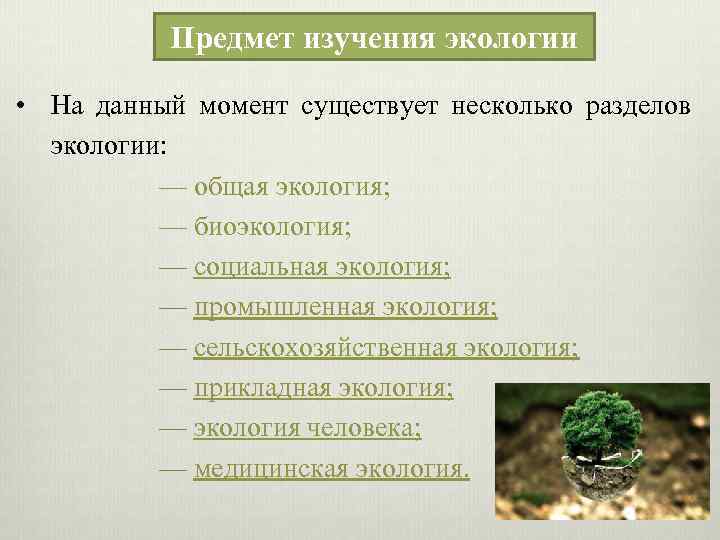 Предмет изучения экологии • На данный момент существует несколько разделов экологии: — общая экология;