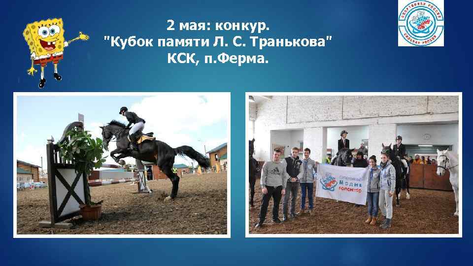 2 мая: конкур. "Кубок памяти Л. С. Транькова" КСК, п. Ферма. 