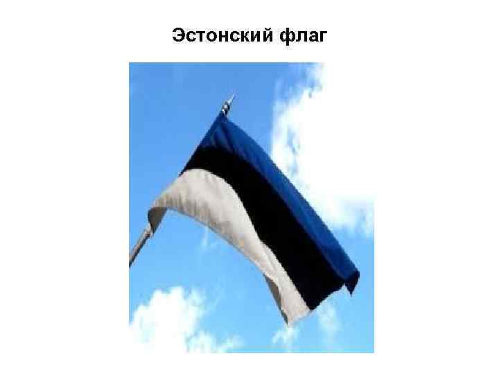 Эстонский флаг 