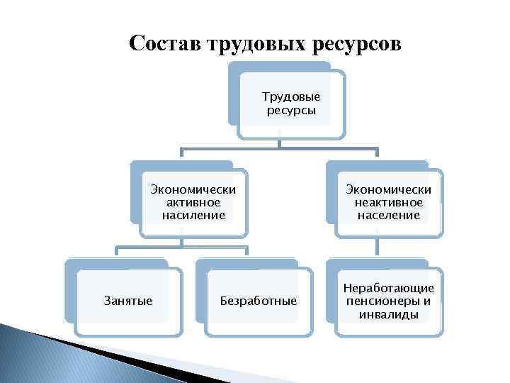 Сущность и состав трудовых ресурсов