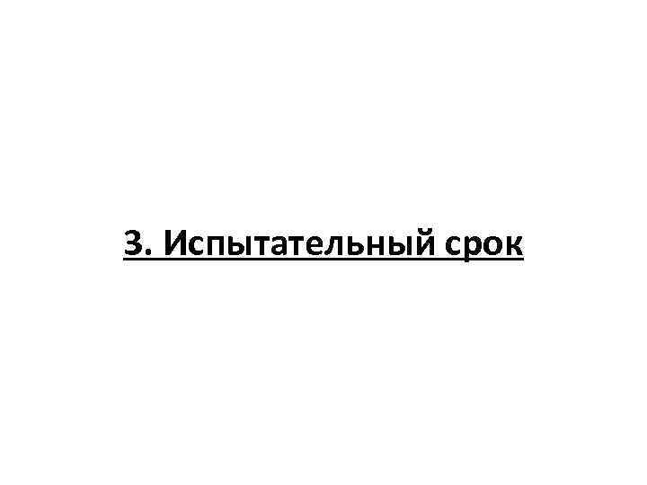 3. Испытательный срок 