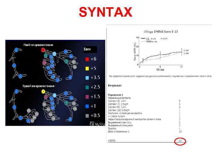 SYNTAX 