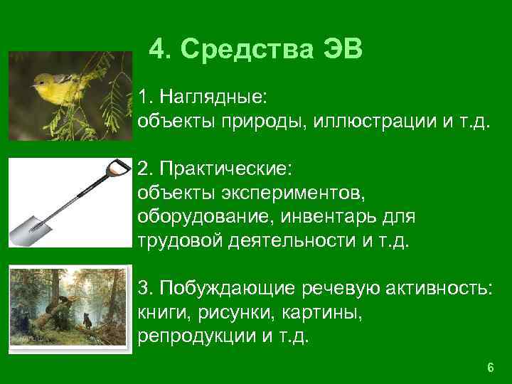 4. Средства ЭВ 1. Наглядные: объекты природы, иллюстрации и т. д. 2. Практические: объекты