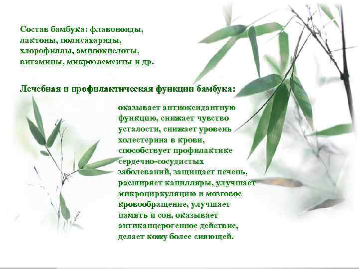 Состав бамбука: флавоноиды, лактоны, полисахариды, хлорофиллы, аминокислоты, витамины, микроэлементы и др. Лечебная и профилактическая