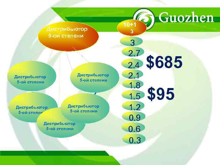 Дистрибьютор 9 -ой степени Дистрибьютор 5 -ой степени Дистрибьютор 5 -ой степени 10+1 3