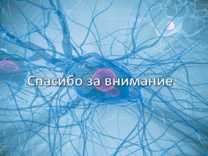 Спасибо за внимание 