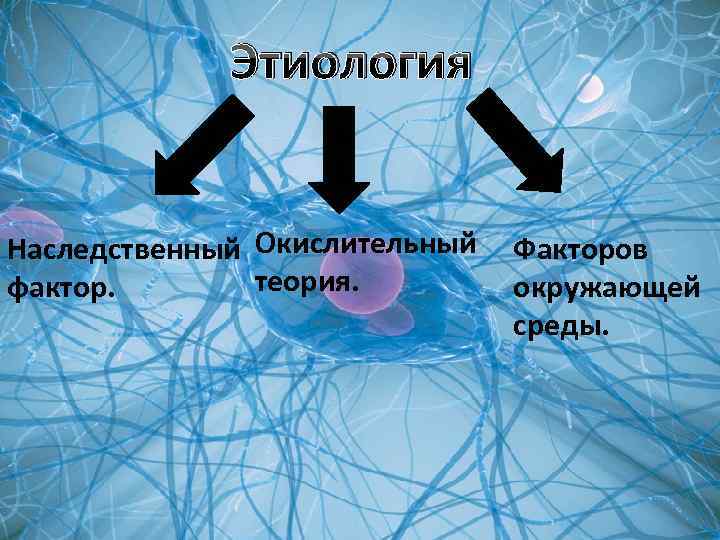 Этиология Наследственный Окислительный Факторов теория. фактор. окружающей среды. 