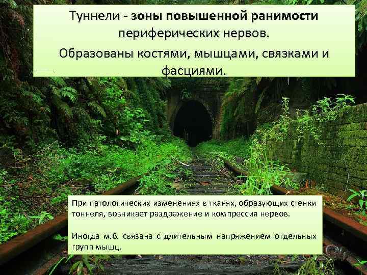 Туннели - зоны повышенной ранимости периферических нервов. Образованы костями, мышцами, связками и фасциями. При