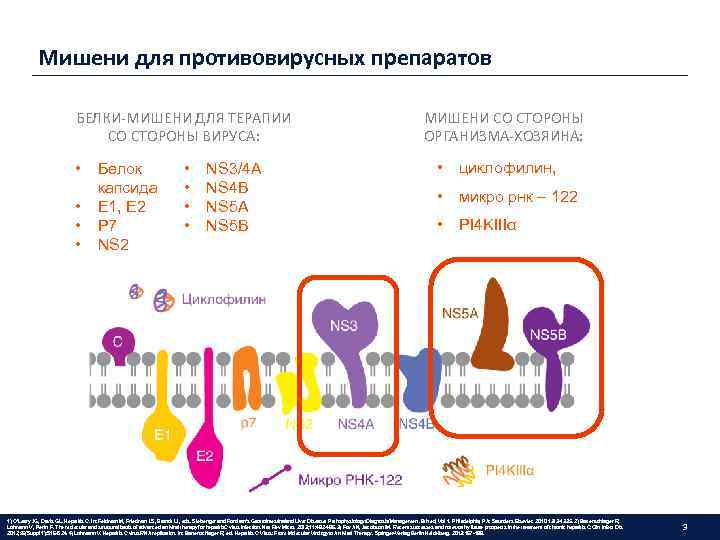 Мишени для противовирусных препаратов БЕЛКИ-МИШЕНИ ДЛЯ ТЕРАПИИ СО СТОРОНЫ ВИРУСА: • • Белок капсида