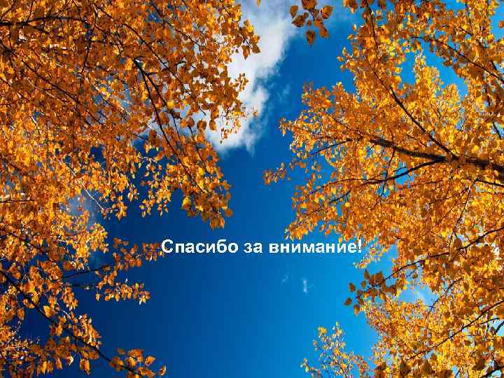 Спасибо за внимание! 