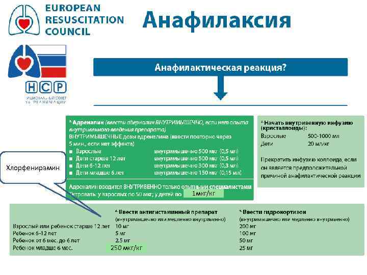 Хлорфенирамин 1 мкг/кг 250 мкг/кг 