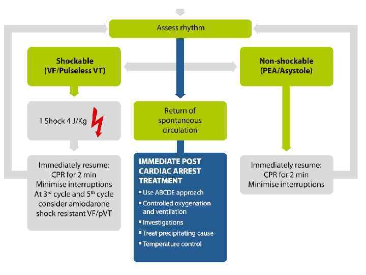 Беспульсовая электрическая активность сердца Гипоксия Гиповолемия Гипер/гипокалиемия Гипотермия Тромбоз (коронарный, легочной) • Напряженный пневмоторакс