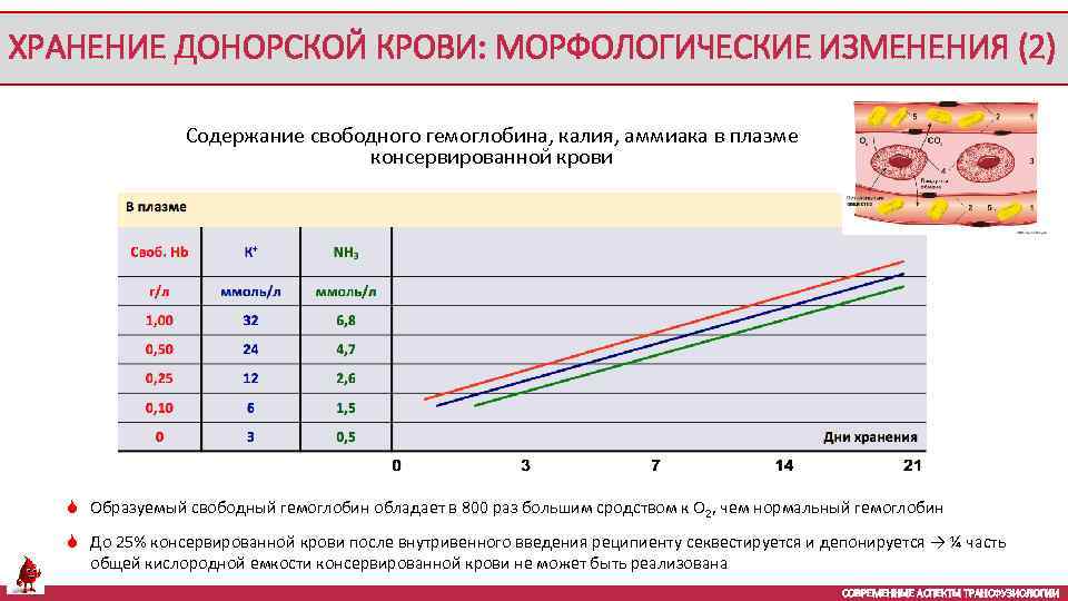 ХРАНЕНИЕ ДОНОРСКОЙ КРОВИ: МОРФОЛОГИЧЕСКИЕ ИЗМЕНЕНИЯ (2) Содержание свободного гемоглобина, калия, аммиака в плазме консервированной