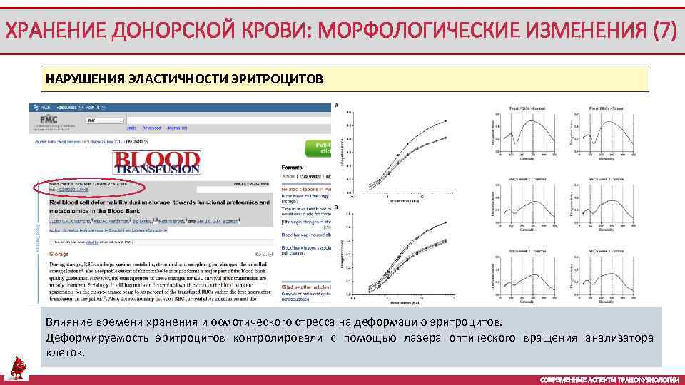 ХРАНЕНИЕ ДОНОРСКОЙ КРОВИ: МОРФОЛОГИЧЕСКИЕ ИЗМЕНЕНИЯ (7) НАРУШЕНИЯ ЭЛАСТИЧНОСТИ ЭРИТРОЦИТОВ Влияние времени хранения и осмотического
