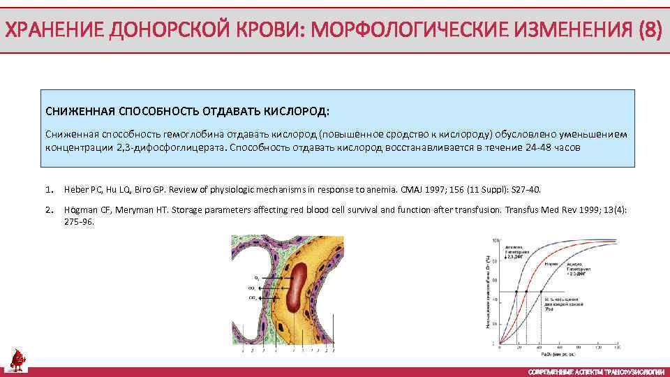 ХРАНЕНИЕ ДОНОРСКОЙ КРОВИ: МОРФОЛОГИЧЕСКИЕ ИЗМЕНЕНИЯ (8) СНИЖЕННАЯ СПОСОБНОСТЬ ОТДАВАТЬ КИСЛОРОД: Сниженная способность гемоглобина отдавать