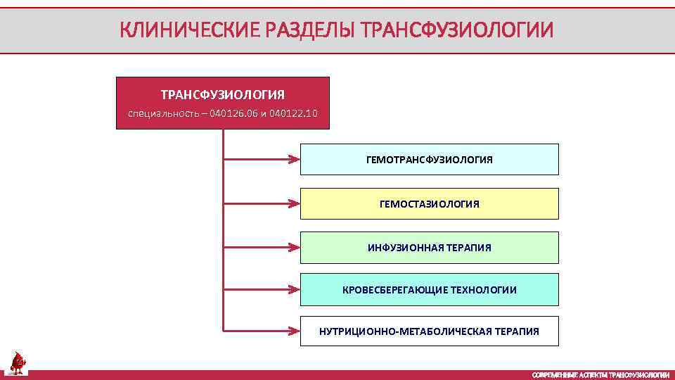 КЛИНИЧЕСКИЕ РАЗДЕЛЫ ТРАНСФУЗИОЛОГИИ ТРАНСФУЗИОЛОГИЯ специальность – 040126. 06 и 040122. 10 ГЕМОТРАНСФУЗИОЛОГИЯ ГЕМОСТАЗИОЛОГИЯ ИНФУЗИОННАЯ
