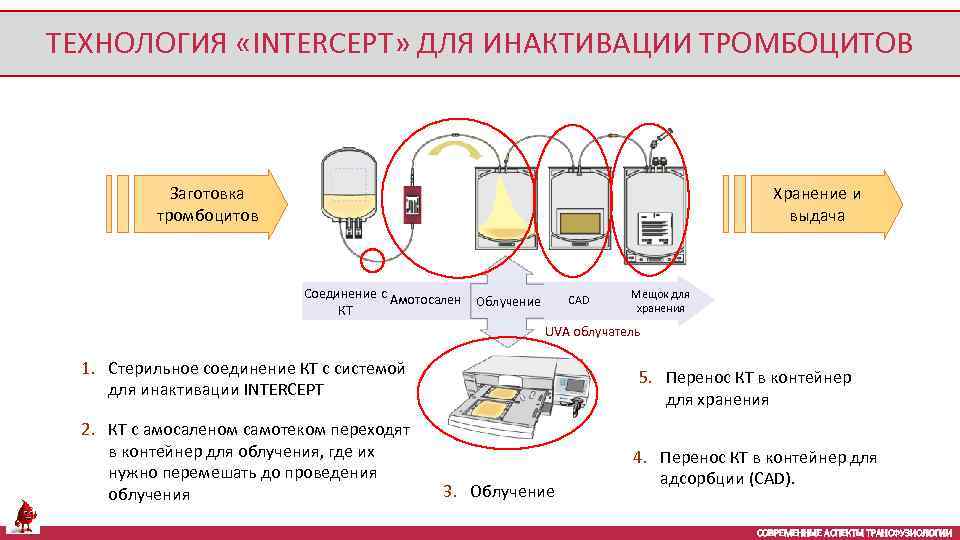 ТЕХНОЛОГИЯ «INTERCEPT» ДЛЯ ИНАКТИВАЦИИ ТРОМБОЦИТОВ Заготовка тромбоцитов Хранение и выдача Соединение с Амотосален Облучение