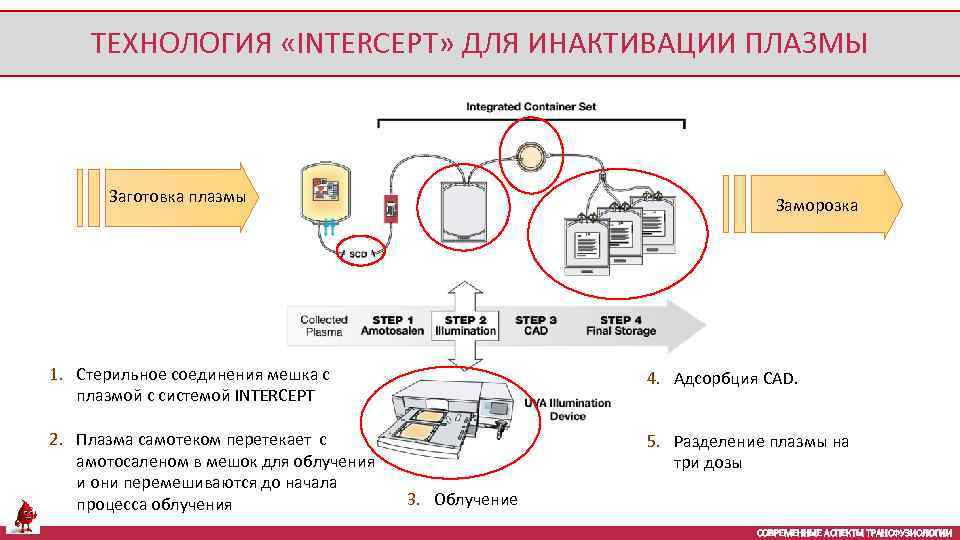 ТЕХНОЛОГИЯ «INTERCEPT» ДЛЯ ИНАКТИВАЦИИ ПЛАЗМЫ Заготовка плазмы Заморозка 1. Стерильное соединения мешка с плазмой