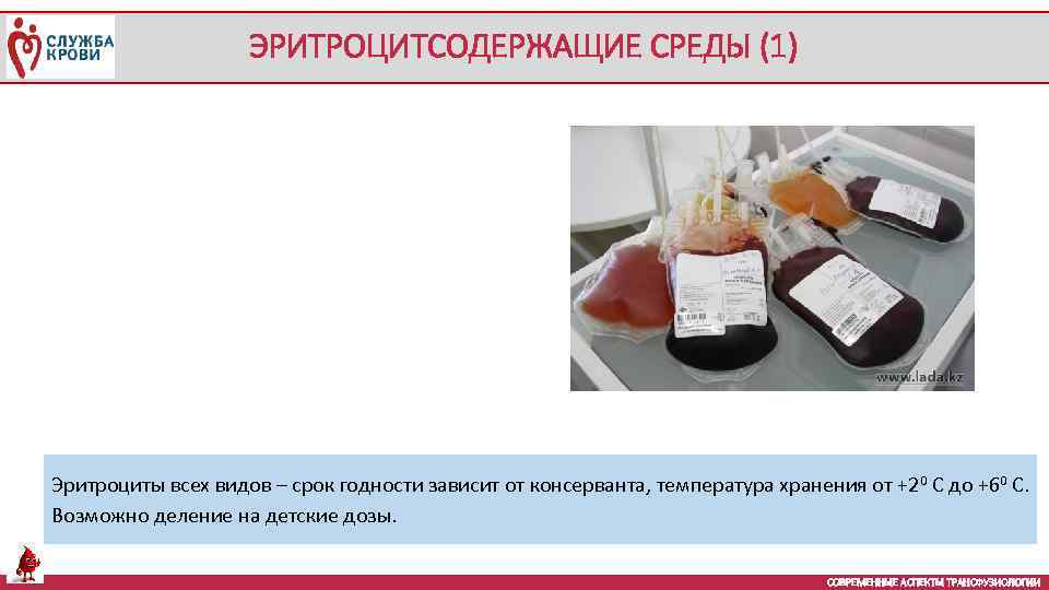 ЭРИТРОЦИТСОДЕРЖАЩИЕ СРЕДЫ (1) Эритроциты всех видов – срок годности зависит от консерванта, температура хранения