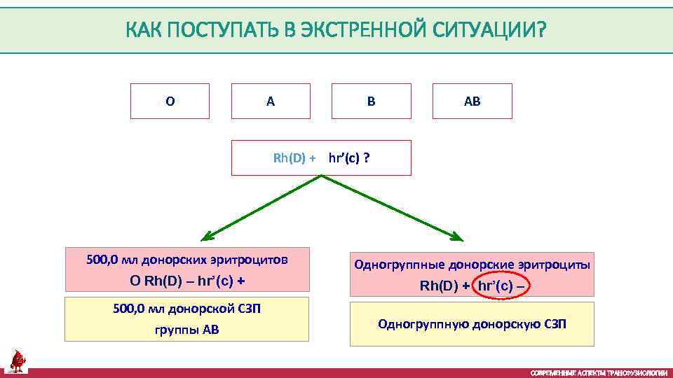 КАК ПОСТУПАТЬ В ЭКСТРЕННОЙ СИТУАЦИИ? O A B AВ Rh(D) + hr’(c) ? 500,