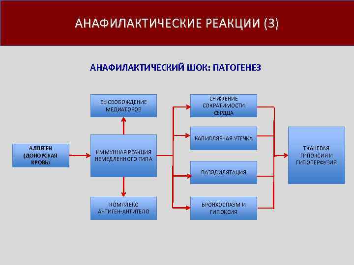 Схема патогенеза анафилактического шока