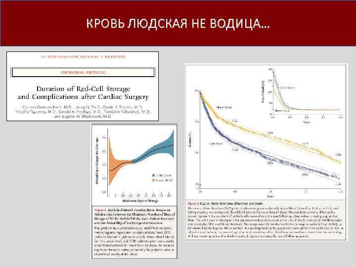 КРОВЬ ЛЮДСКАЯ НЕ ВОДИЦА… 