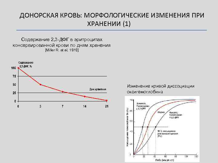 ДОНОРСКАЯ КРОВЬ: МОРФОЛОГИЧЕСКИЕ ИЗМЕНЕНИЯ ПРИ ХРАНЕНИИ (1) Содержание 2, 3 -ДФГ в эритроцитах консервированной