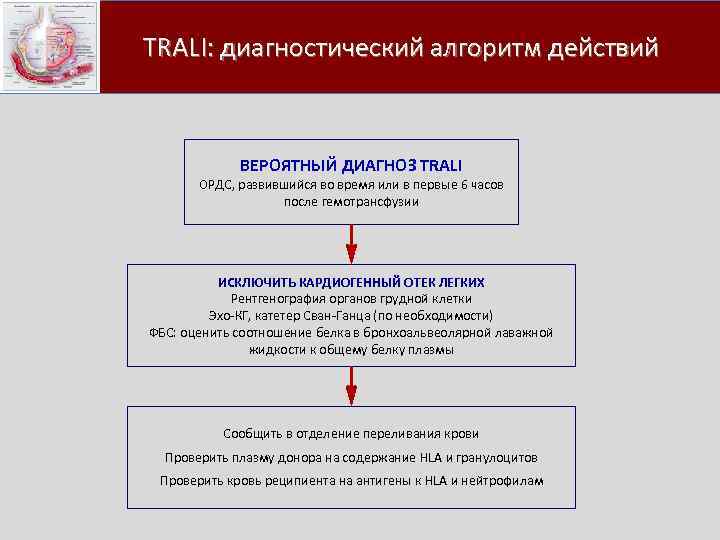  TRALI: диагностический алгоритм действий ВЕРОЯТНЫЙ ДИАГНОЗ TRALI ОРДС, развившийся во время или в