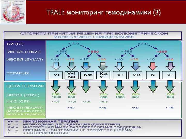  TRALI: мониторинг гемодинамики (3) 