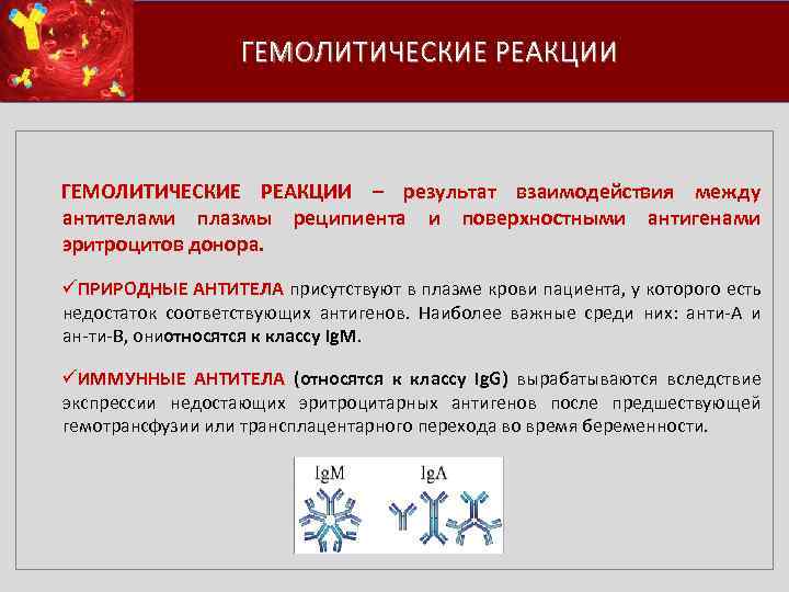 ГЕМОЛИТИЧЕСКИЕ РЕАКЦИИ – результат взаимодействия между антителами плазмы реципиента и поверхностными антигенами эритроцитов