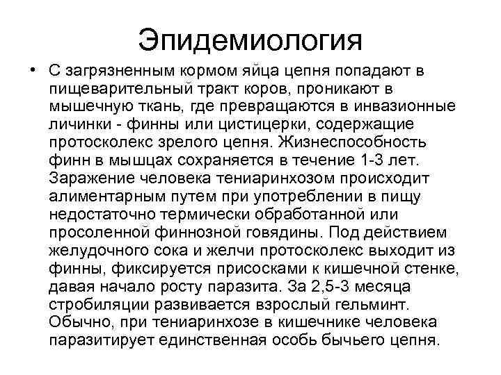 Эпидемиология • С загрязненным кормом яйца цепня попадают в пищеварительный тракт коров, проникают в
