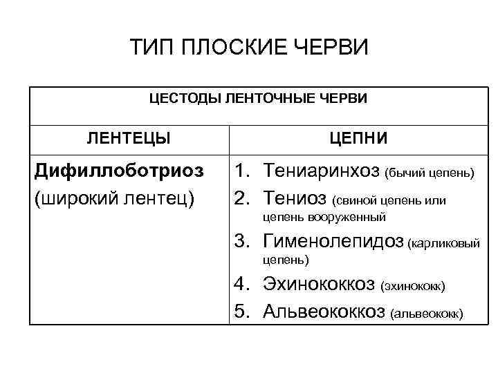 ТИП ПЛОСКИЕ ЧЕРВИ ЦЕСТОДЫ ЛЕНТОЧНЫЕ ЧЕРВИ ЛЕНТЕЦЫ Дифиллоботриоз (широкий лентец) ЦЕПНИ 1. Тениаринхоз (бычий