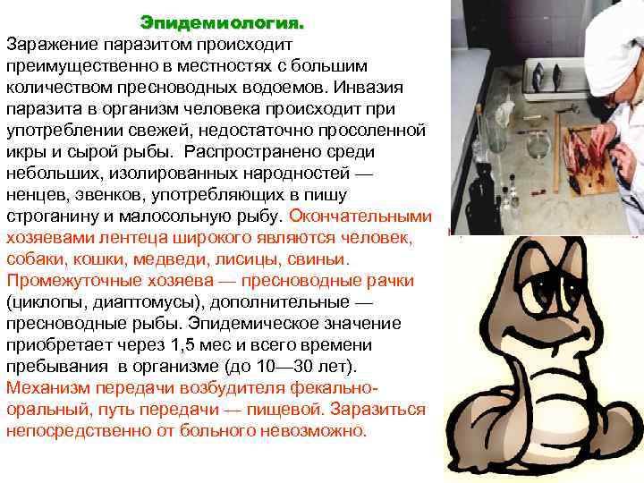 Эпидемиология. Заражение паразитом происходит преимущественно в местностях с большим количеством пресноводных водоемов. Инвазия паразита